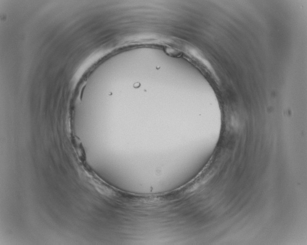 X0000078301328200611251459