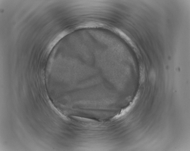 X0000078301329200611251459