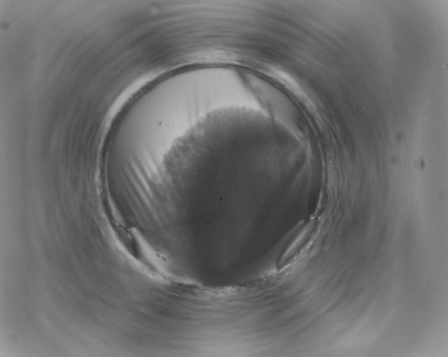 X0000078301331200611251459