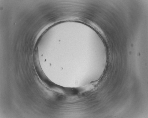 X0000078301332200611251459