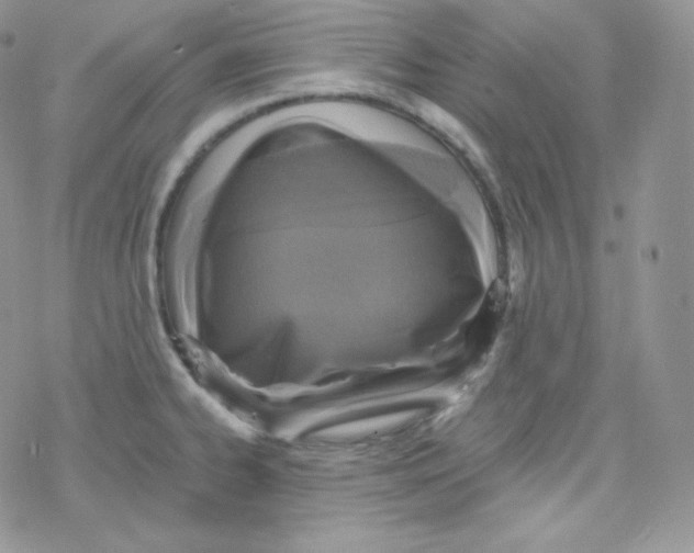 X0000078301334200611251459