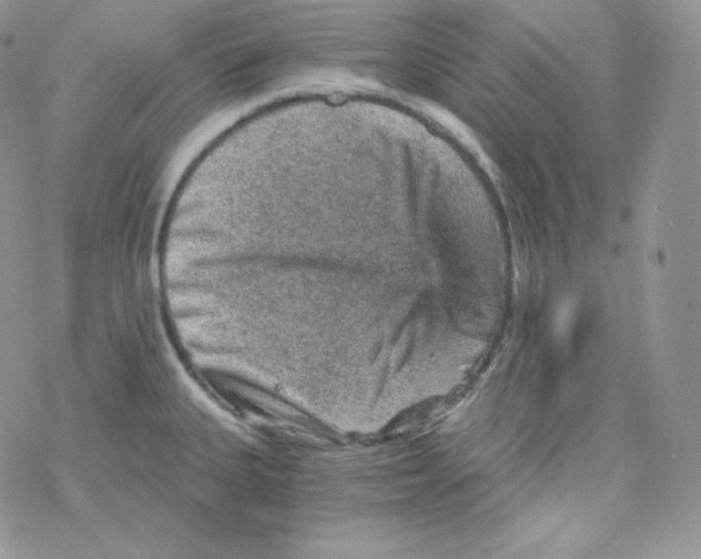 X0000078301335200611251459