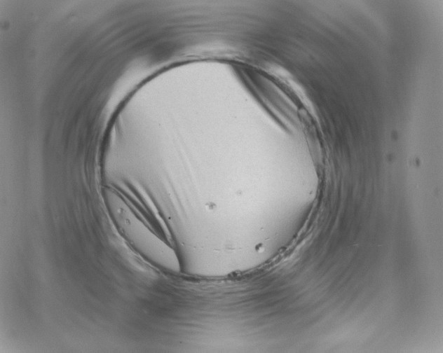 X0000078301336200611251459