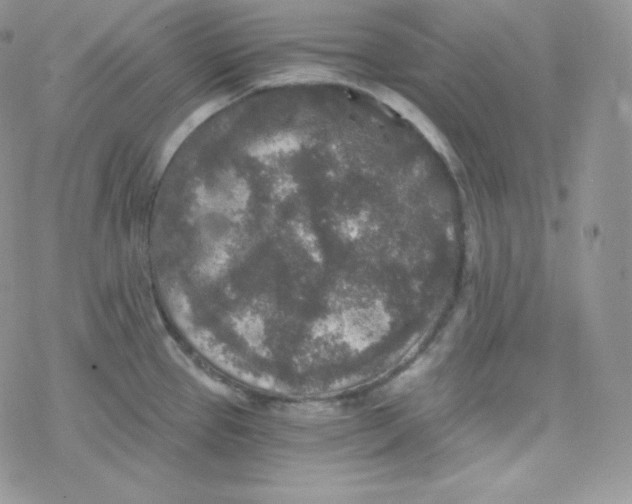 X0000078301337200611251459