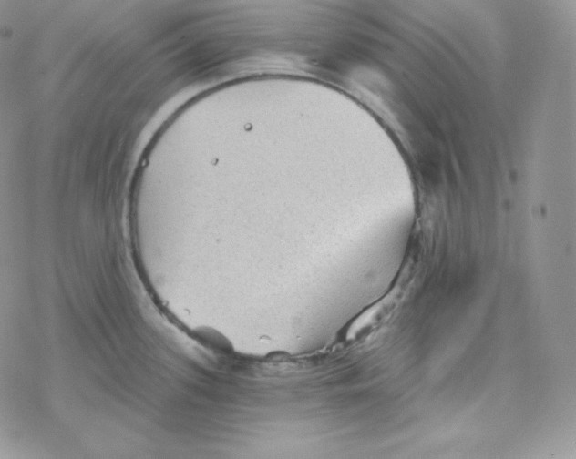 X0000078301339200611251459