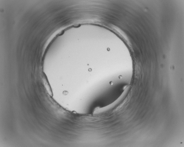 X0000078301340200611251459