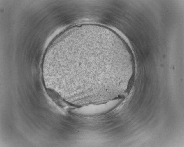 X0000078301341200611251459