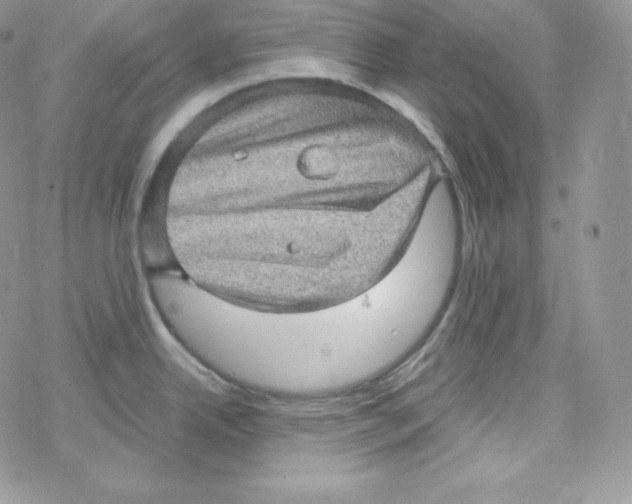 X0000078301342200611251459