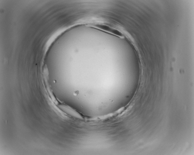 X0000078301344200611251459