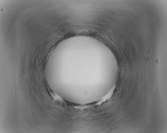 X0000078301345200611251458