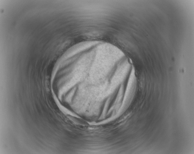 X0000078301346200611251458