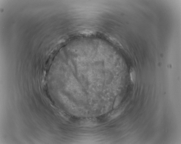 X0000078301347200611251458