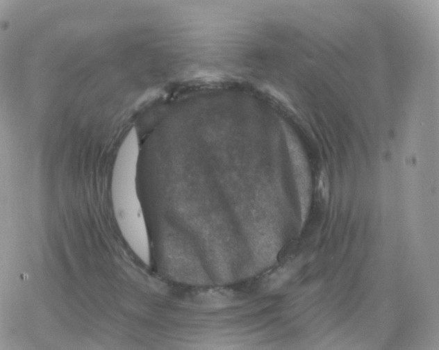 X0000078301348200611251458