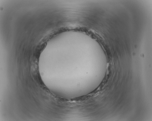 X0000078301349200611251458