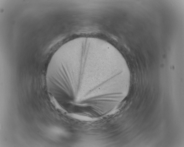 X0000078301350200611251458