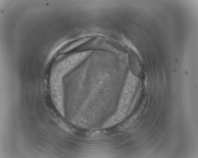 X0000078301352200611251458