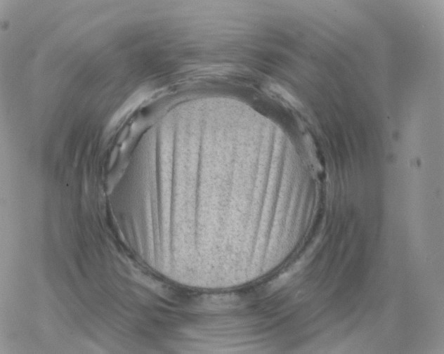 X0000078301354200611251458