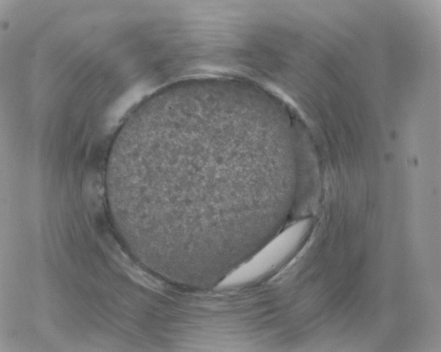 X0000078301355200611251458