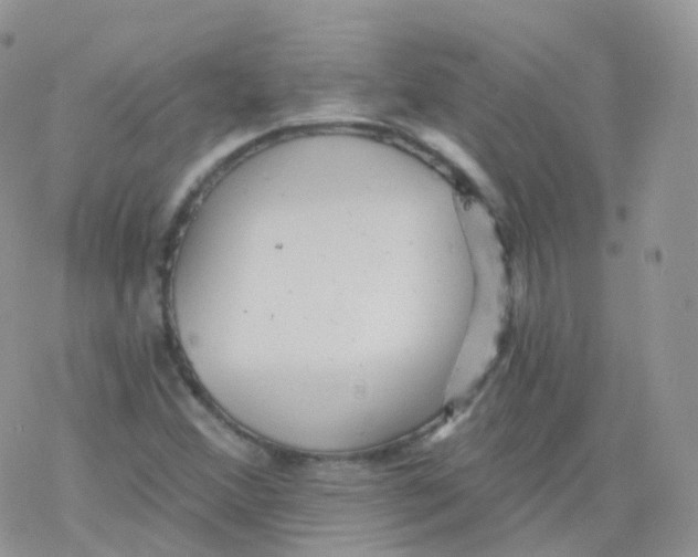 X0000078301356200611251458