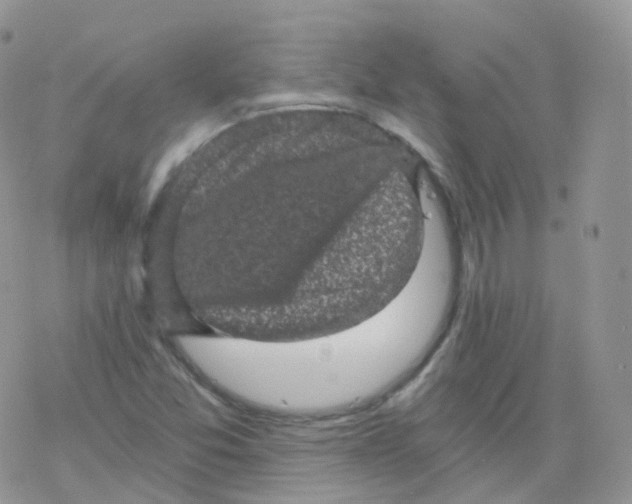 X0000078301357200611251458