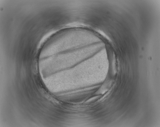 X0000078301358200611251458