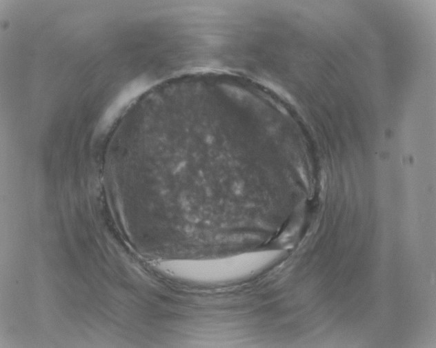 X0000078301359200611251458