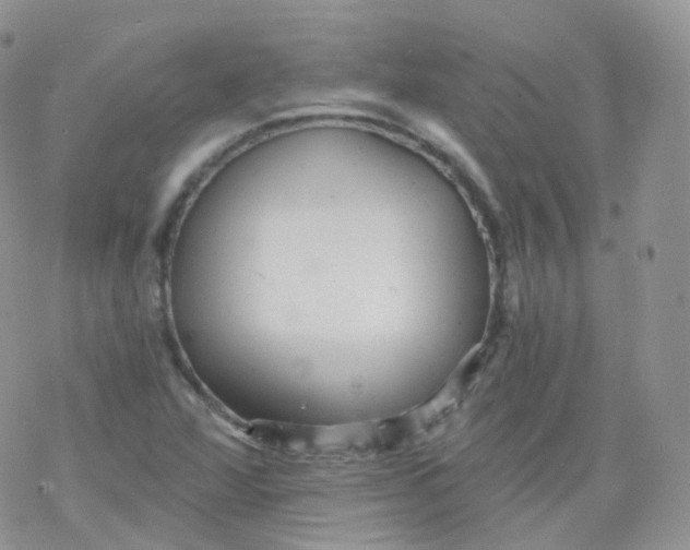 X0000078301360200611251458