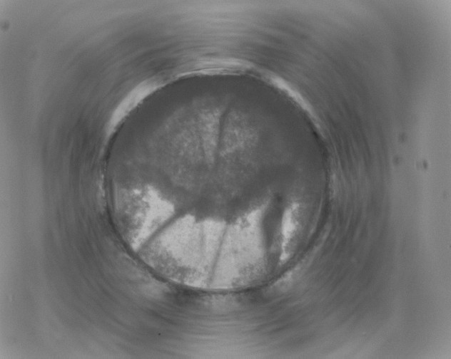 X0000078301362200611251458