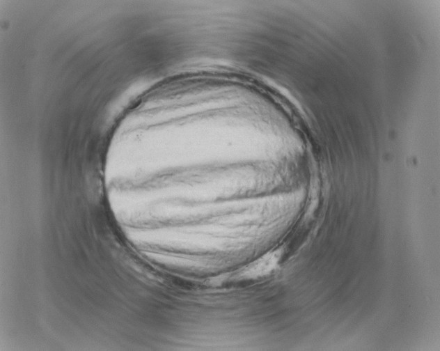 X0000078301363200611251458