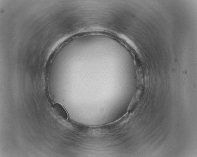 X0000078301364200611251458