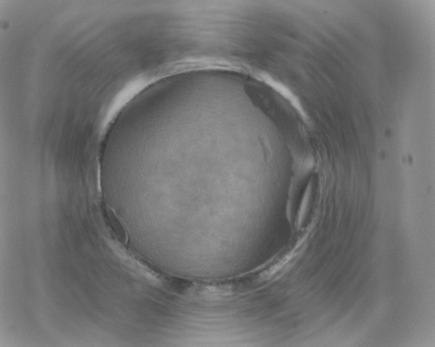 X0000078301365200611251458