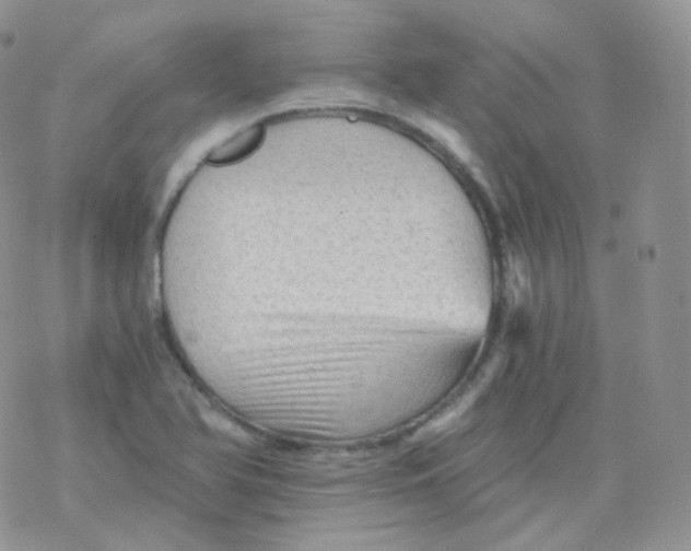 X0000078301366200611251458