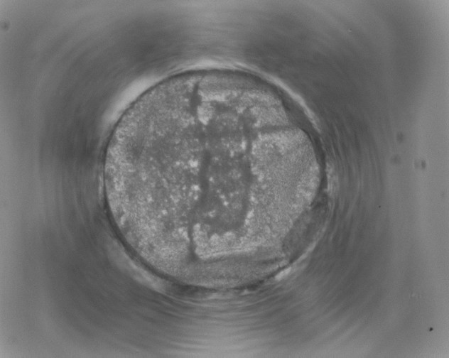 X0000078301367200611251458