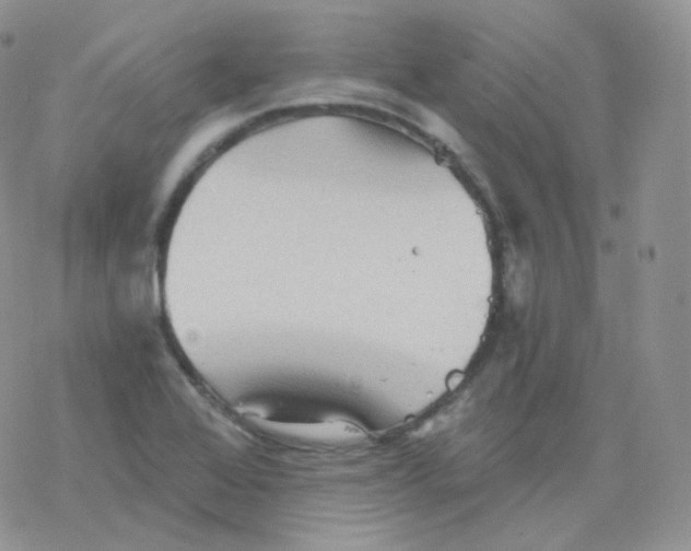 X0000078301368200611251458