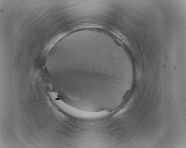 X0000078301369200611251458