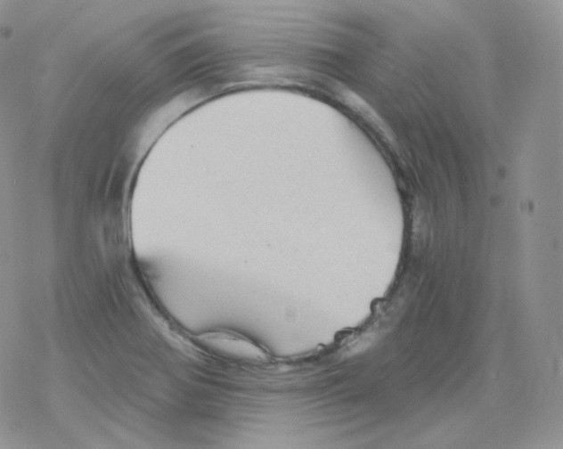 X0000078301370200611251458