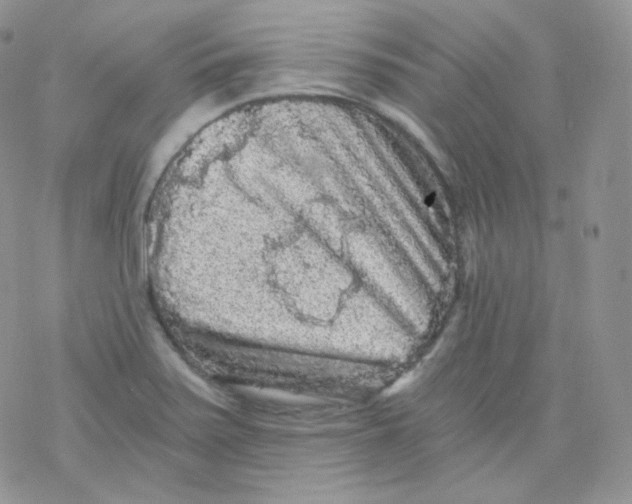 X0000078301371200611251458