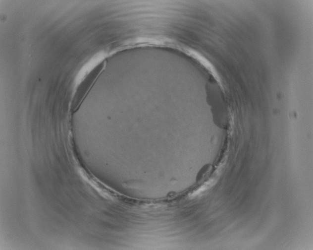 X0000078301373200611251458