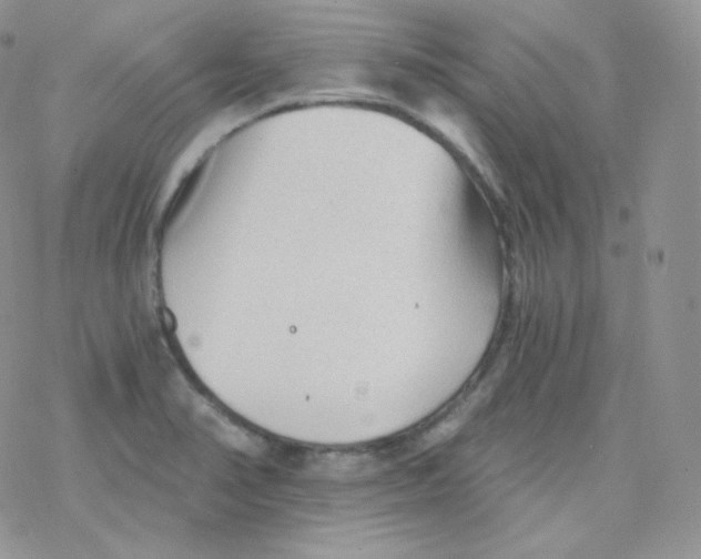 X0000078301374200611251458