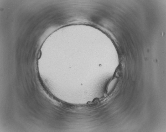 X0000078301375200611251458