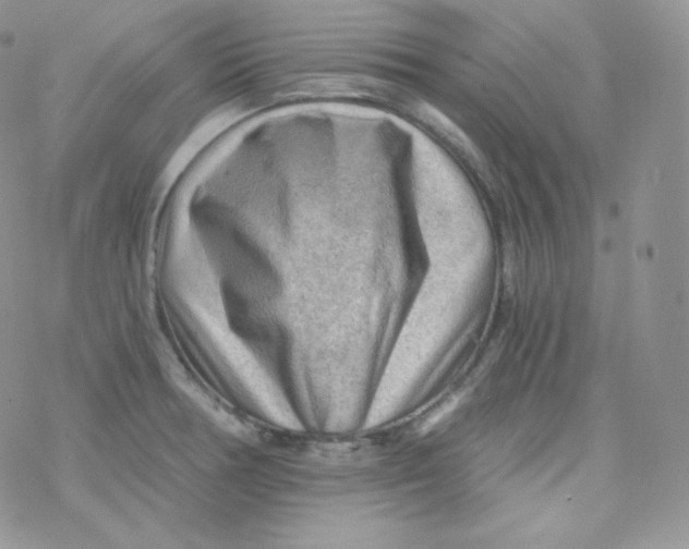 X0000078301378200611251458