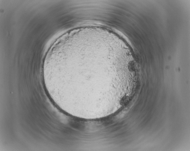 X0000078301379200611251458