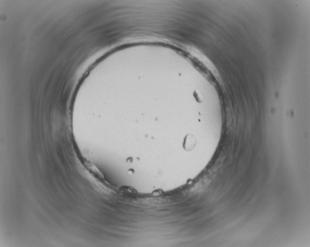 X0000078301380200611251458