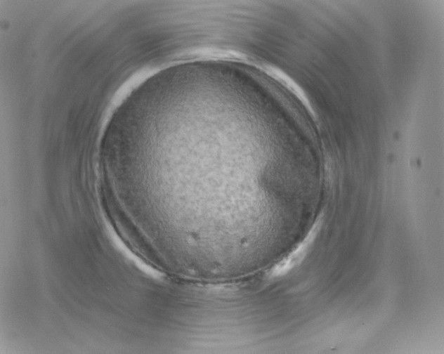 X0000078301381200611251458