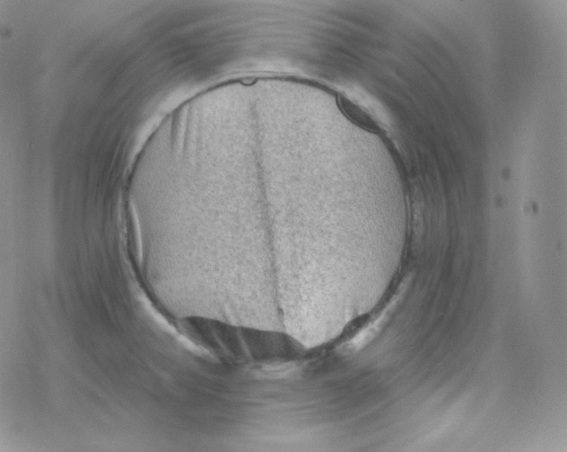 X0000078301382200611251458