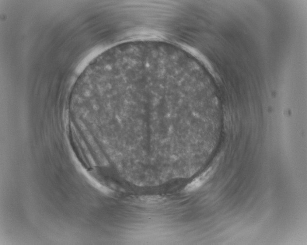 X0000078301383200611251458