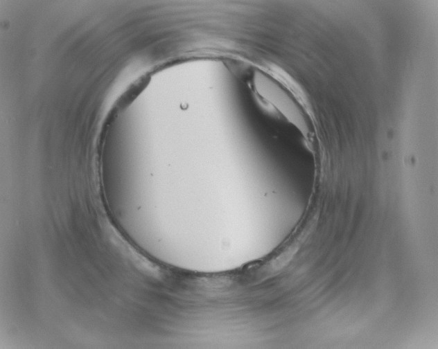 X0000078301384200611251458