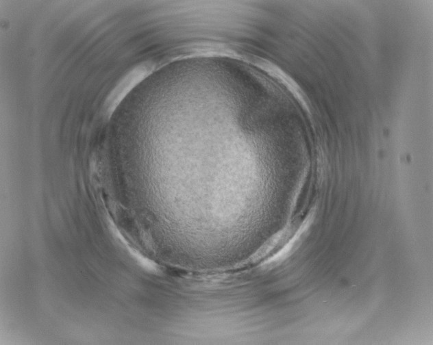 X0000078301385200611251458