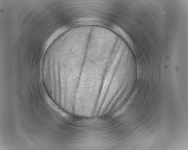 X0000078301386200611251458