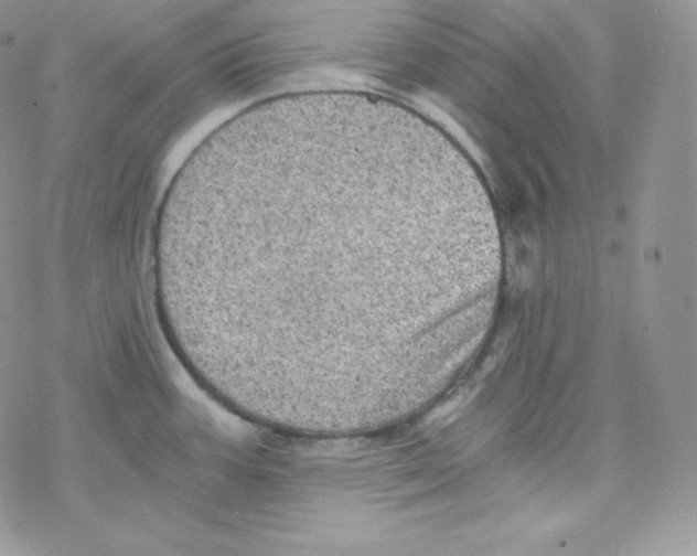 X0000078301387200611251458